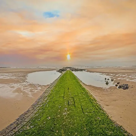 In With Sea View * ミデルケルケ